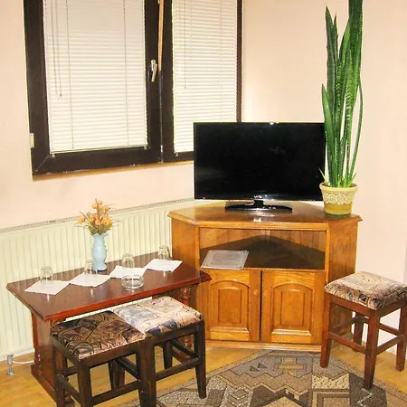 Bed and breakfast Amfora Caribrod 2*