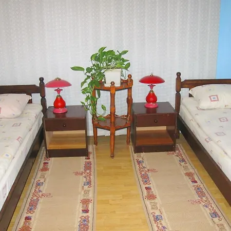 Bed and breakfast Amfora Caribrod 2*
