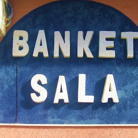 Bed and Breakfast Amfora Caribrod