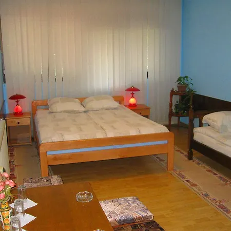 Bed and breakfast Amfora Caribrod Dimitrovgrad